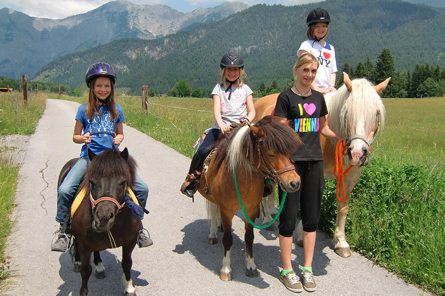 ponys-urlaub-bauernhof-saalfelden.jpg
