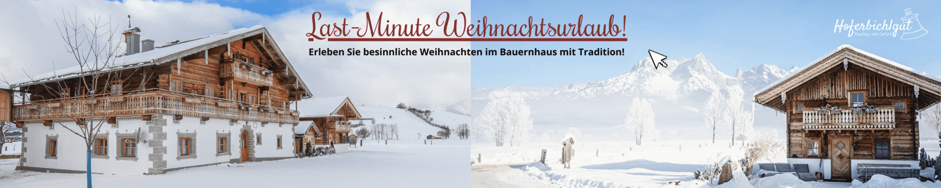 bauernhof-saalfelden-winterurlaub-hoferbichlgut.gif