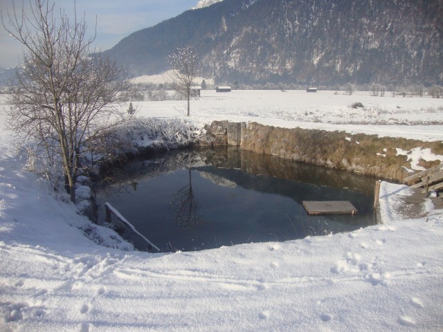 Bauernhof Mussbachhof in Saalfelden