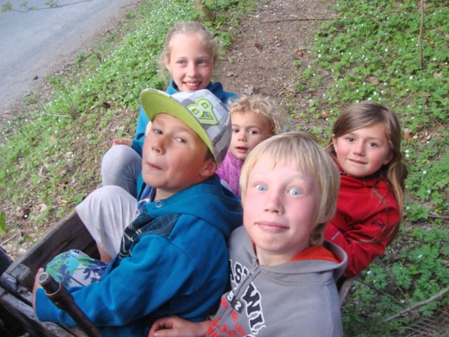 Bauernhof Mussbachhof in Saalfelden