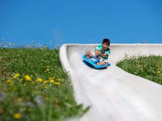 Sommerrodelbahn  Saalfelden Biberg
