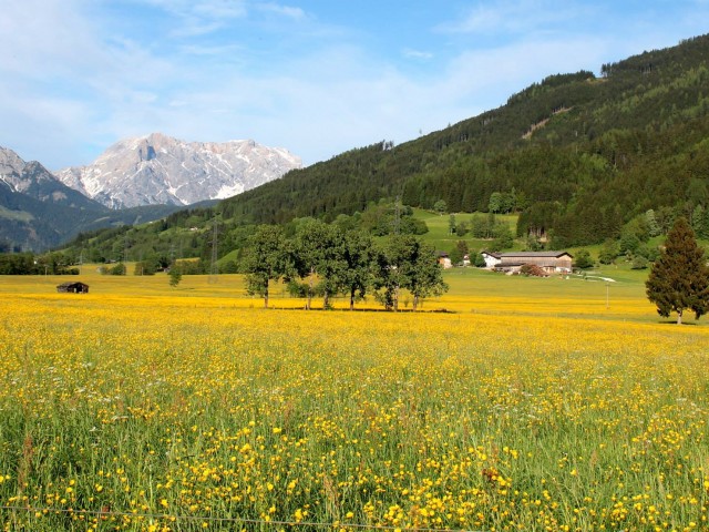 Bauernhof in Saalfelden am Oberdeutinghof